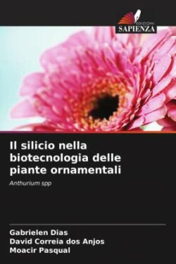 silicio nella biotecnologia delle piante ornamentali