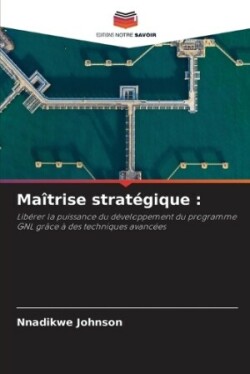 Maîtrise stratégique