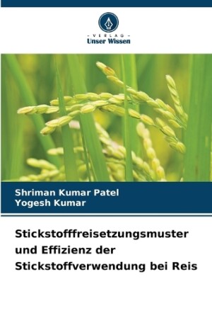 Stickstofffreisetzungsmuster und Effizienz der Stickstoffverwendung bei Reis