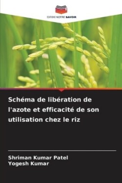 Schéma de libération de l'azote et efficacité de son utilisation chez le riz