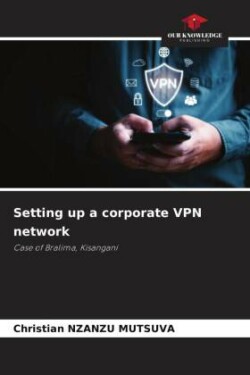 Setting up a corporate VPN network