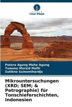 Mikrountersuchungen (XRD; SEM; & Petrographie) für Tonschieferschichten, Indonesien