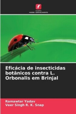 Efic�cia de insecticidas bot�nicos contra L. Orbonalis em Brinjal