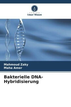 Bakterielle DNA-Hybridisierung