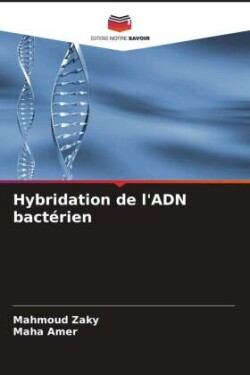 Hybridation de l'ADN bactérien