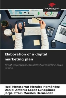 Elaboration of a digital marketing plan