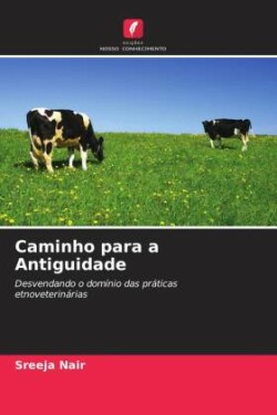 Caminho para a Antiguidade