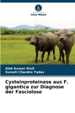 Cysteinproteinase aus F. gigantica zur Diagnose der Fasciolose