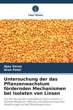 Untersuchung der das Pflanzenwachstum fördernden Mechanismen bei Isolaten von Linsen