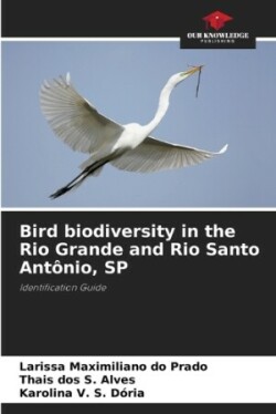 Bird biodiversity in the Rio Grande and Rio Santo Antônio, SP