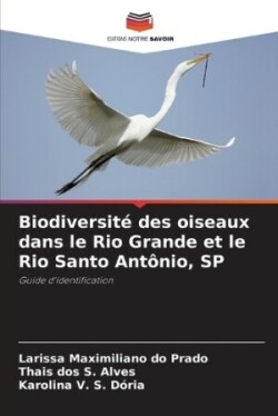 Biodiversité des oiseaux dans le Rio Grande et le Rio Santo Antônio, SP