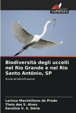 Biodiversità degli uccelli nel Rio Grande e nel Rio Santo Antônio, SP