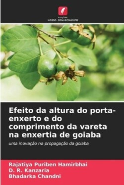 Efeito da altura do porta-enxerto e do comprimento da vareta na enxertia de goiaba