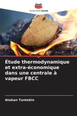 Étude thermodynamique et extra-économique dans une centrale à vapeur FBCC