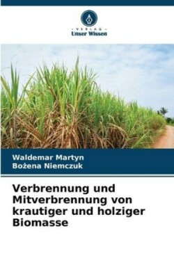 Verbrennung und Mitverbrennung von krautiger und holziger Biomasse