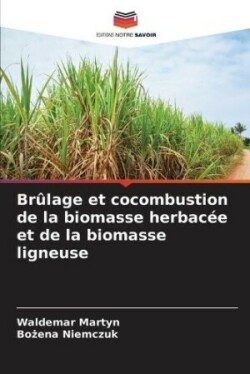 Brûlage et cocombustion de la biomasse herbacée et de la biomasse ligneuse