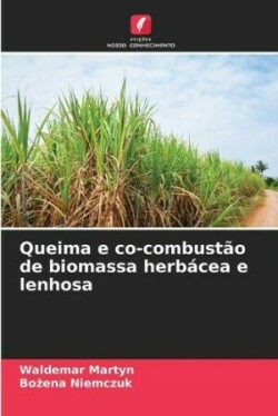 Queima e co-combustão de biomassa herbácea e lenhosa