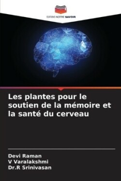 Les plantes pour le soutien de la mémoire et la santé du cerveau