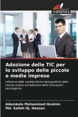 Adozione delle TIC per lo sviluppo delle piccole e medie imprese