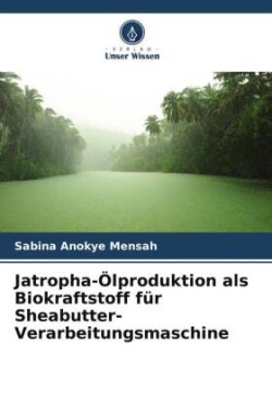 Jatropha-Ölproduktion als Biokraftstoff für Sheabutter-Verarbeitungsmaschine