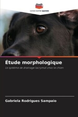 Étude morphologique