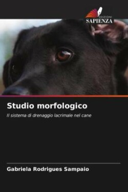 Studio morfologico