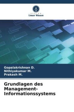 Grundlagen des Management-Informationssystems