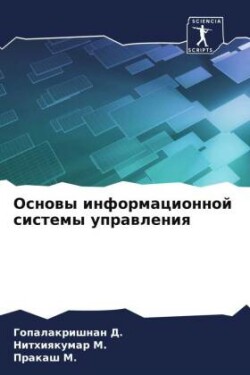 Основы информационной системы управлени&
