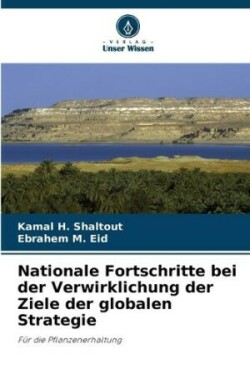 Nationale Fortschritte bei der Verwirklichung der Ziele der globalen Strategie