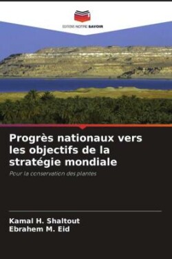 Progrès nationaux vers les objectifs de la stratégie mondiale