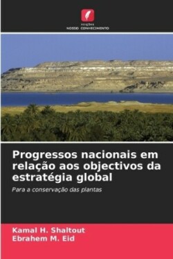 Progressos nacionais em relação aos objectivos da estratégia global