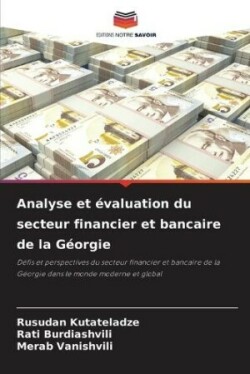 Analyse et évaluation du secteur financier et bancaire de la Géorgie