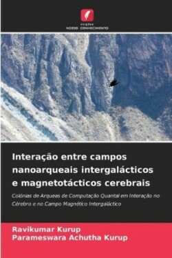 Interação entre campos nanoarqueais intergalácticos e magnetotácticos cerebrais