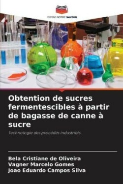 Obtention de sucres fermentescibles à partir de bagasse de canne à sucre