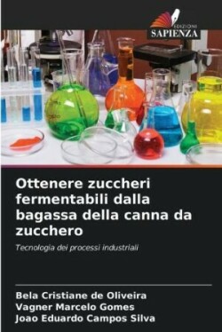 Ottenere zuccheri fermentabili dalla bagassa della canna da zucchero