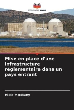 Mise en place d'une infrastructure réglementaire dans un pays entrant