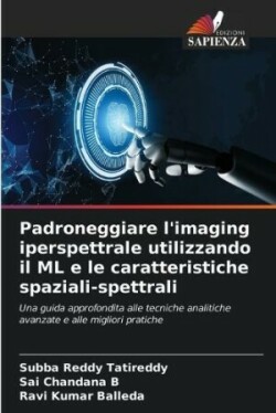 Padroneggiare l'imaging iperspettrale utilizzando il ML e le caratteristiche spaziali-spettrali