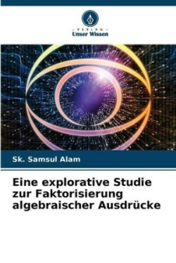 Eine explorative Studie zur Faktorisierung algebraischer Ausdrücke