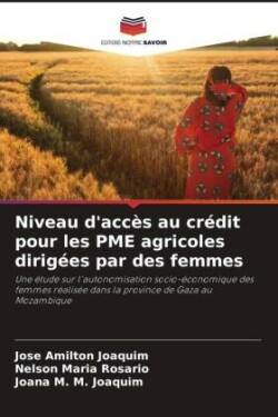 Niveau d'accès au crédit pour les PME agricoles dirigées par des femmes