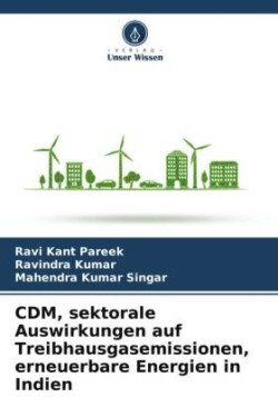 CDM, sektorale Auswirkungen auf Treibhausgasemissionen, erneuerbare Energien in Indien