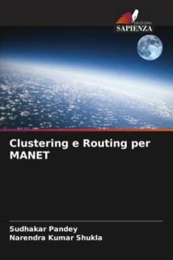 Clustering e Routing per MANET