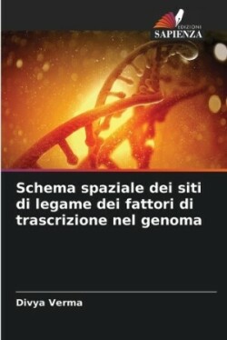 Schema spaziale dei siti di legame dei fattori di trascrizione nel genoma