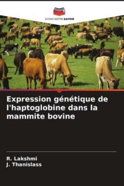 Expression génétique de l'haptoglobine dans la mammite bovine