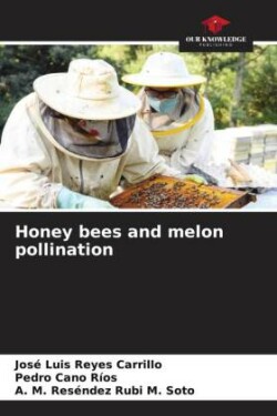 Honey bees and melon pollination