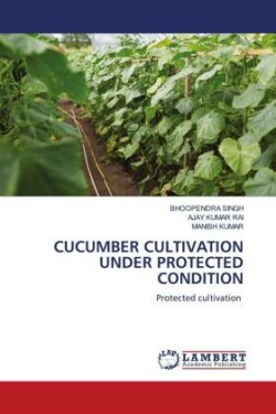 Cucumber Cultivation Under Protected Condition