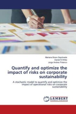 Quantify and optimize the impact of risks on corporate sustainability