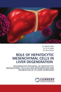 Role of Hepatocytic Mesenchymal Cells in Liver Degeneration