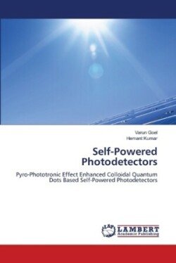 Self-Powered Photodetectors