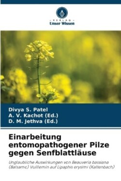 Einarbeitung entomopathogener Pilze gegen Senfblattläuse