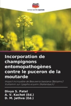 Incorporation de champignons entomopathogènes contre le puceron de la moutarde